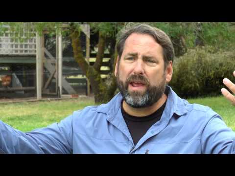 Neil Cole Organic Church explains the discipleship process: Organic and Organisational