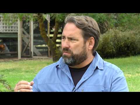 Neil Cole Organic Church Simple Church House Church. What is it?
