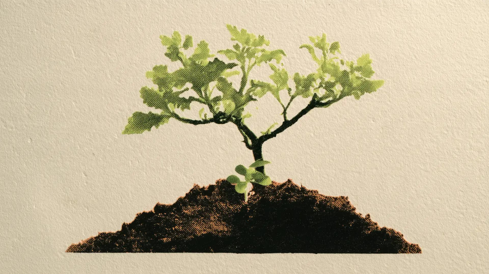 Risograph print of a seedling rising from soil