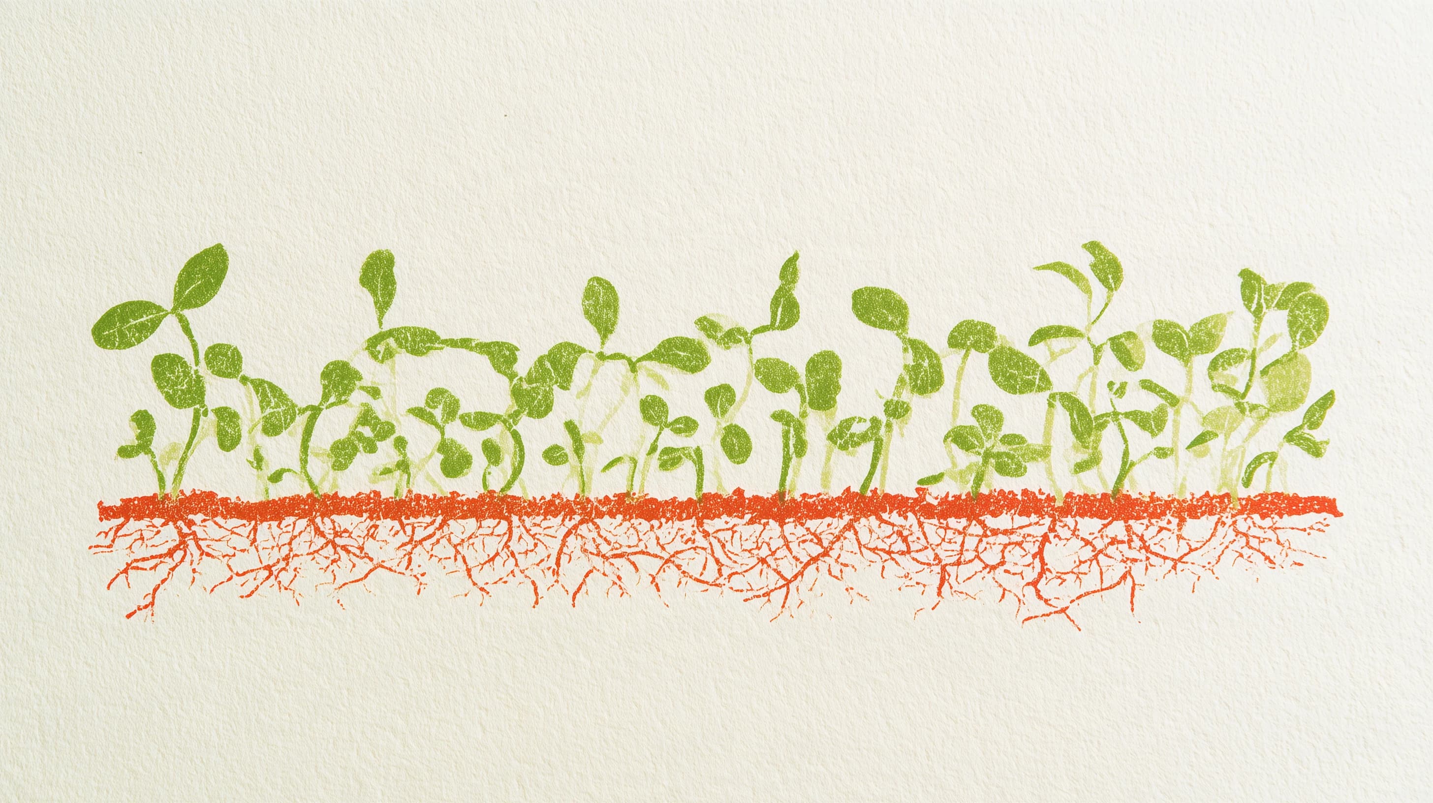 Organic Church and Kingdom DNA